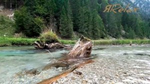 Сатсанг: безмолвие сердца. Роберт Адамс