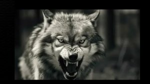 ПОБУДЬ В МОЕЙ ШКУРЕ...