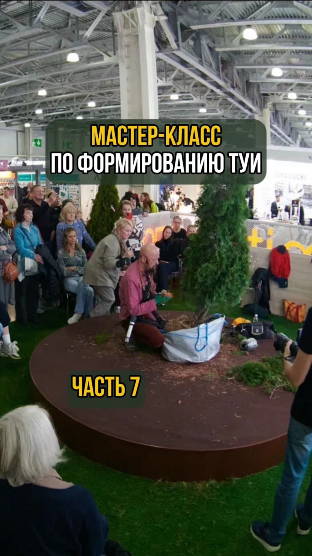 Мастер-класс по формированию туи. Часть 7 смотреть онлайн