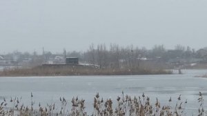 Как же я люблю моменты, когда мне все пофигу... Прямо расцеловать себя хочется.