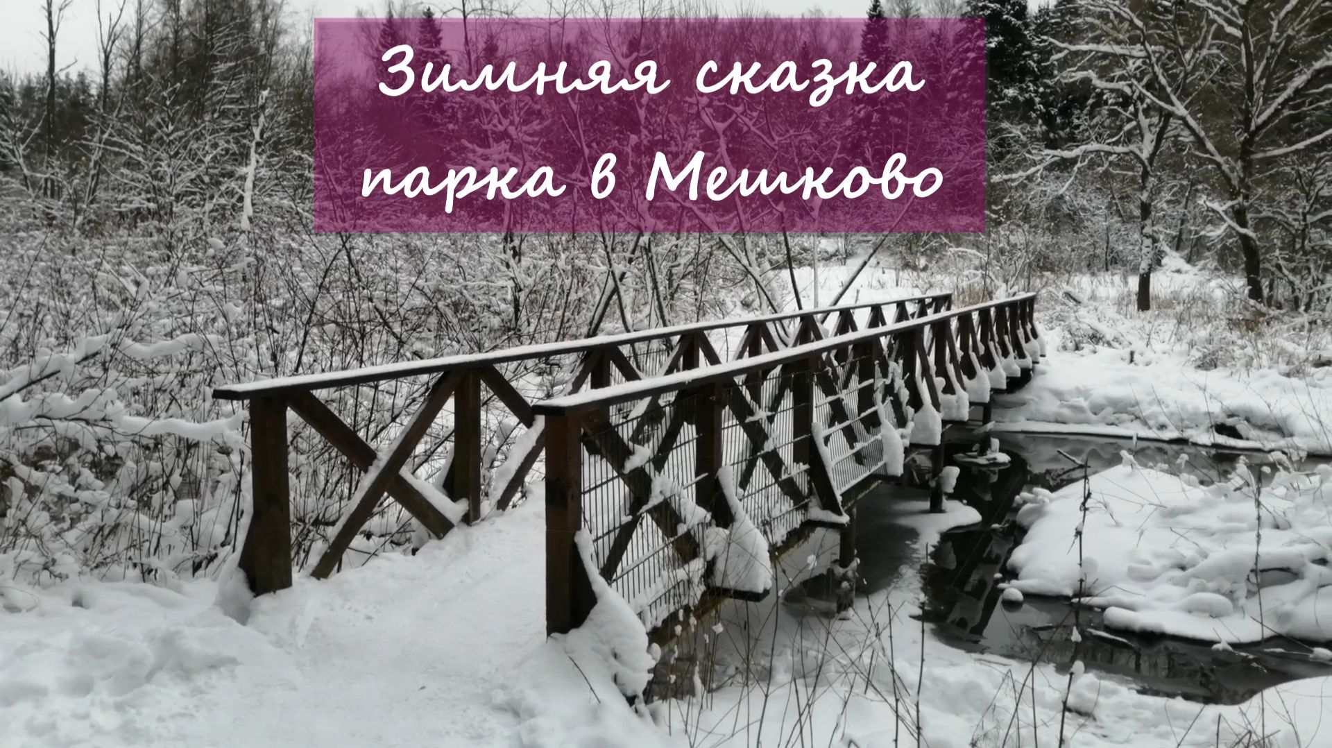 Зимняя сказка парка в Мешково в Новой Москве