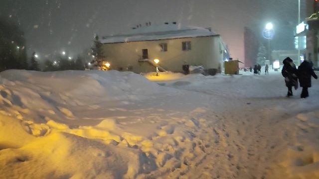 Заметает снегом. Январь  | © 2026