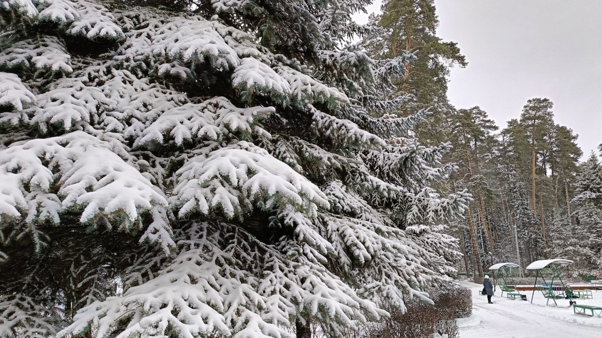 Я ЖИВУ СРЕДИ ВОЛШЕБНОЙ КРАСОТЫ