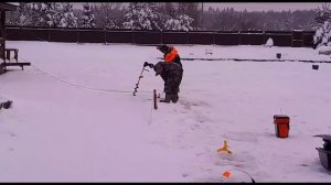 Утро на водоеме!