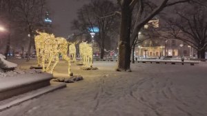 ❄️☃️БЕЗУМНЫЙ снегопад в Стокгольме | Прогулка по сильному снегу ❄️