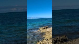 Пляж 🌊☀ нашего отеля 13.01.16.