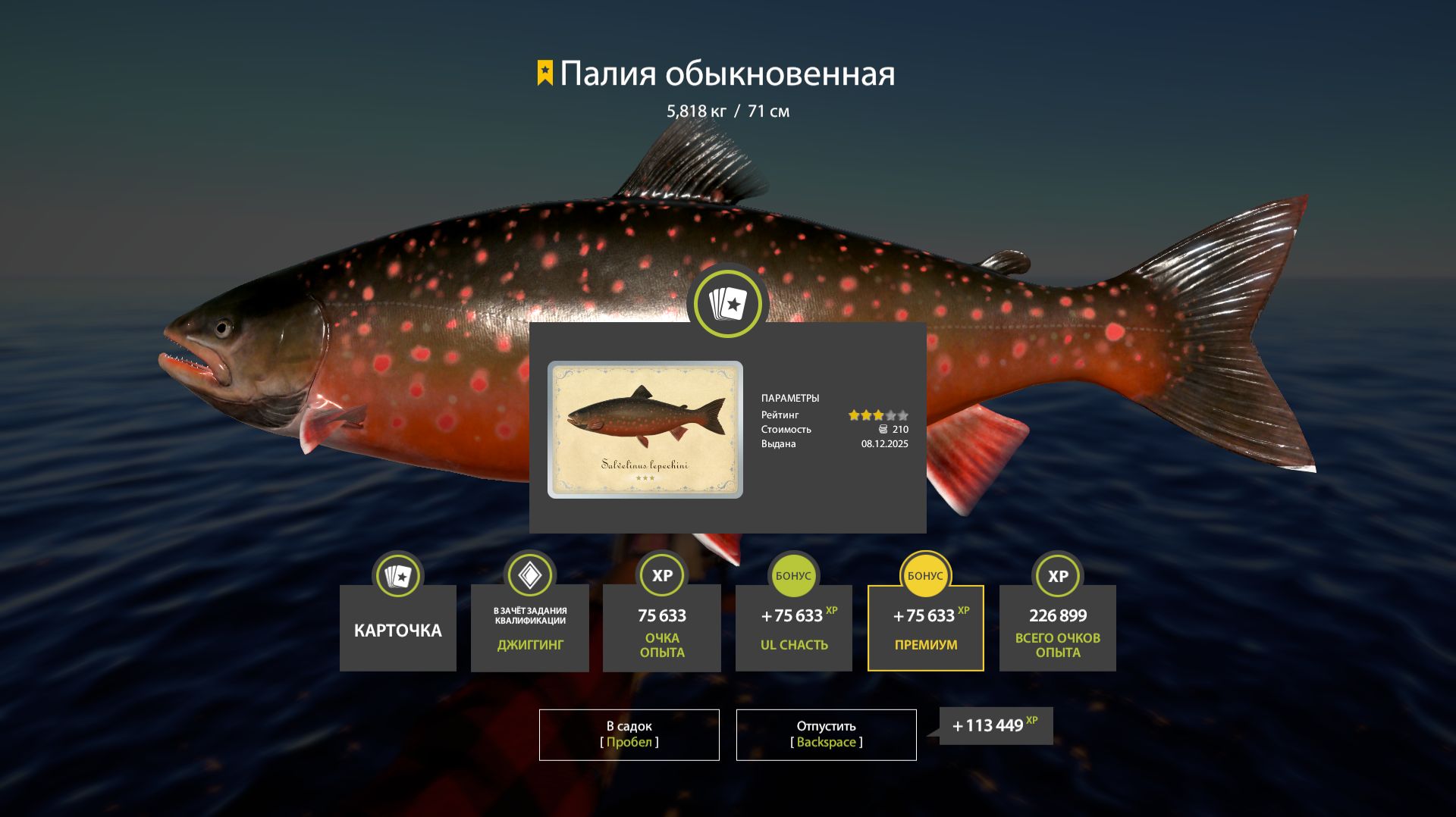 ДИКИЙ ФАРМ НА МЕДНОМ ЕЩЕ ЕСТЬ? И АРХИП В РУССКОЙ РЫБАЛКЕ 4 СТРИМ смотреть онлайн