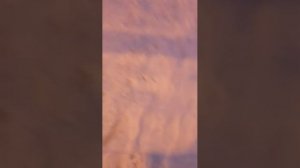 зима зима...