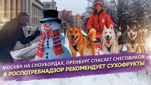 Снег, собаки, Роспотребнадзор и финансовые просчёты: Россия - площадка для экстремального быта