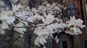 Уверена , такого не в одной деревне нет.