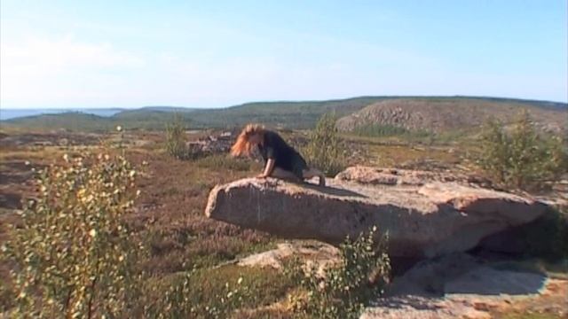 ©  "Лодейный. Стрела. Инсталяция Игорь Ламба и... " 2007