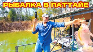РЫБАЛКА В ПАТТАЙЕ. ОХОТА НА ТЕЛЯПИЮ.