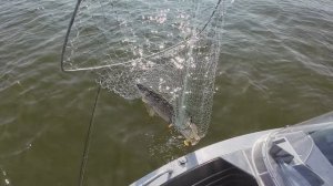 "НАРОДНЫЙ ПРОЕКТ НАРЬЯН МАР" рыбалка в первом русском городе Арктики. Оз.Городецкое.