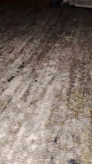 ночная поездка на железнодорожном поезде от брио смотреть онлайн