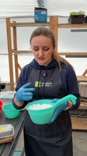 ЗАЧЕМ СНЕГ ПРИ ПОСЕВЕ. СЕЕМ НА СНЕГ