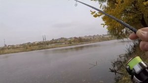 Щука на ТОКИО-РИГ: плюсы и минусы оснастки, сравнение с