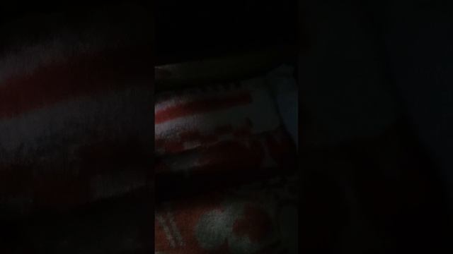 зимовка пчёл в пчельникике