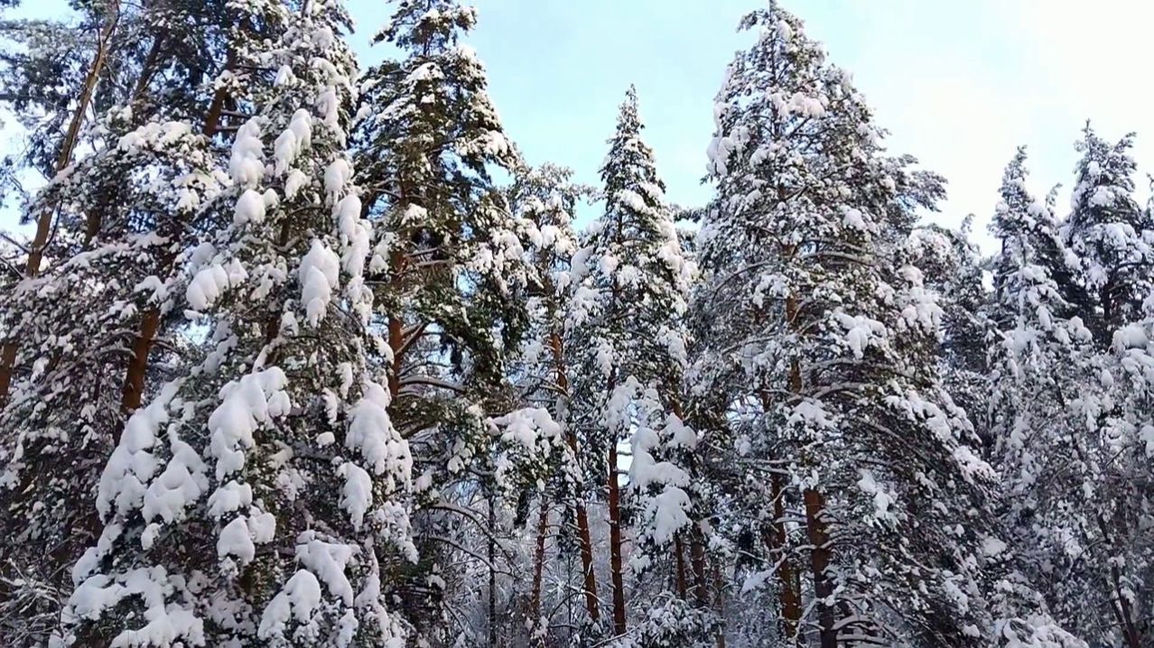 ЗАХВАТЫВАЮЩИЕ ЗИМНИЕ ВИДЫ