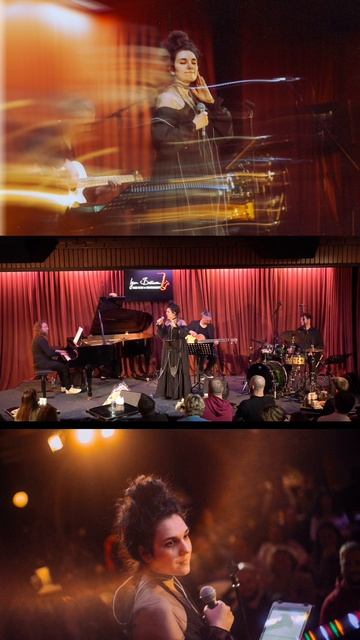 У меня есть всё. Jazz-version. Васса Железнова