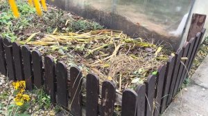 Начало ноября на даче . Дачная жизнь. Подготовка к новому сезону.