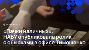 "Пачки наличных". НАБУ опубликовала ролик  с обысками в офисе Тимошенко