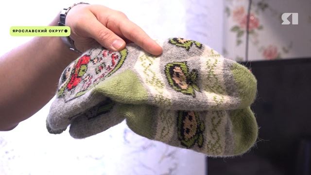 Школа в селе Григорьевское Ярославского округа закрыта из-за отсутствия отпления смотреть онлайн