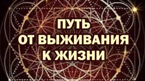 BioPatriot Эфир 13.01.2026