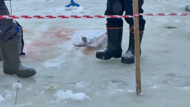 1000138619.mp4 смотреть онлайн