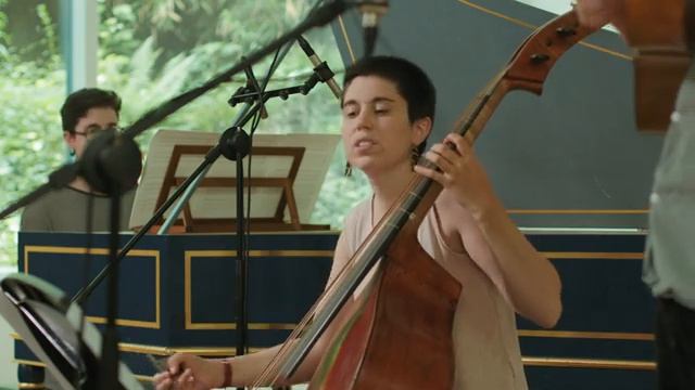 Tarquinio Merula Ballo detto Eccardo - Das Kolorit смотреть онлайн