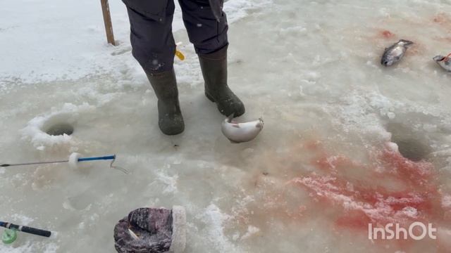 1000138589.mp4 смотреть онлайн