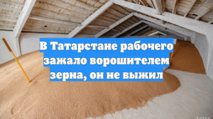 В Татарстане рабочего зажало ворошителем зерна, он не выжил