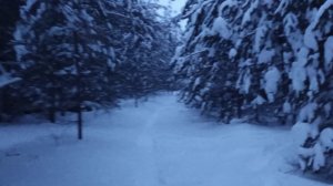 14-01-2026❄️Влог❄️среда 📖комментарии