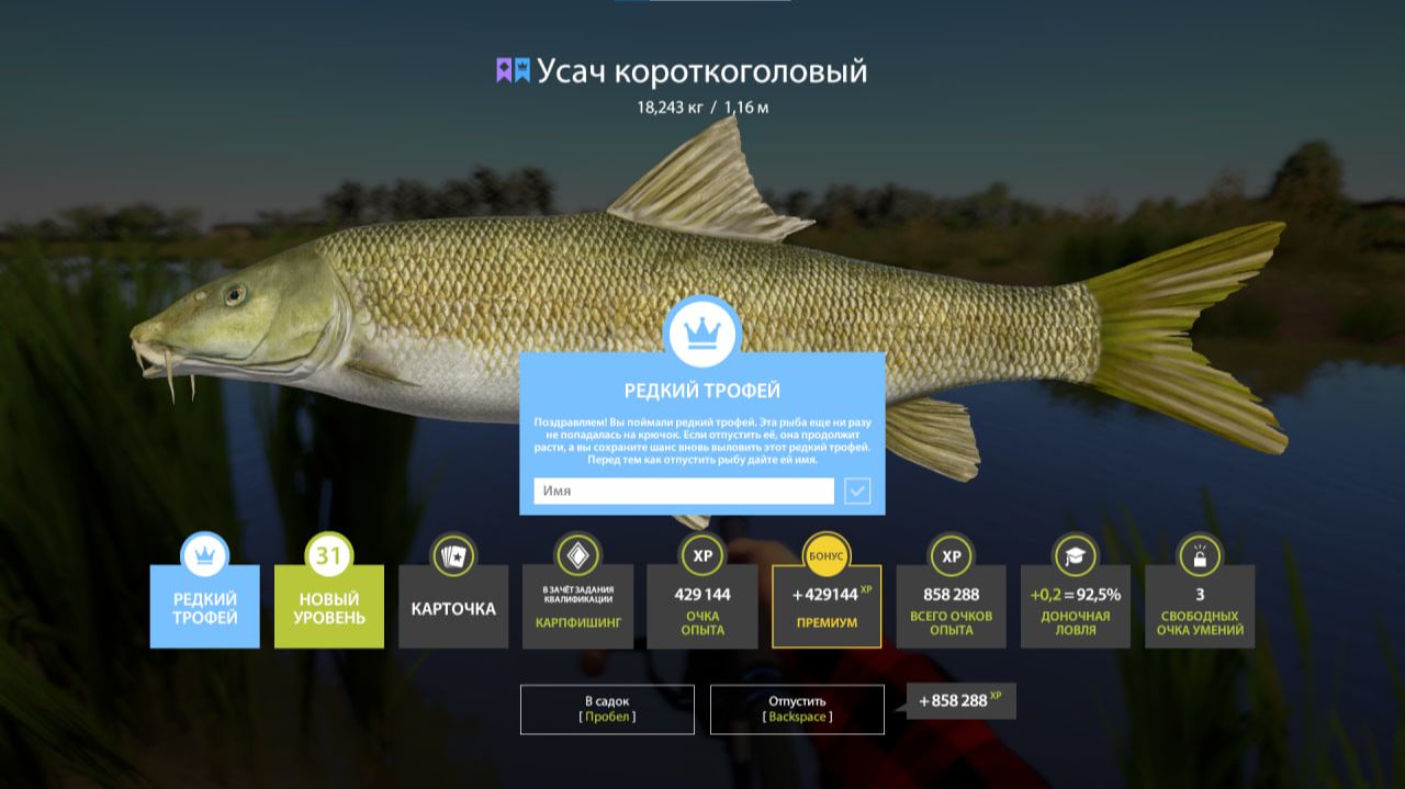 ТУРНИР НА ПРЕМКУ ЗОЛОТО И ЗАДАНИЯ В РУССКОЙ РЫБАЛКЕ 4 СТРИМ смотреть онлайн