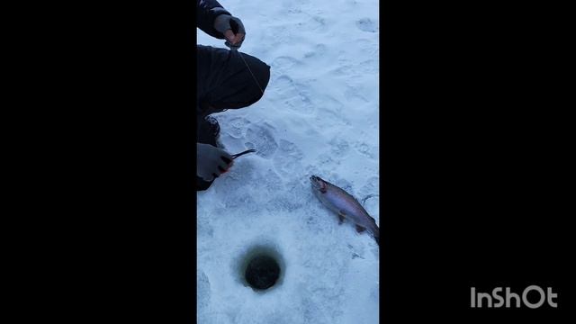 14.01.26.Поимки на Спорт зоне смотреть онлайн