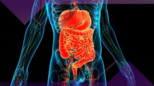 Оздоровление Желудка и Кишечника*Облегчение Боли в Животе*Мощная Звуковая Терапия