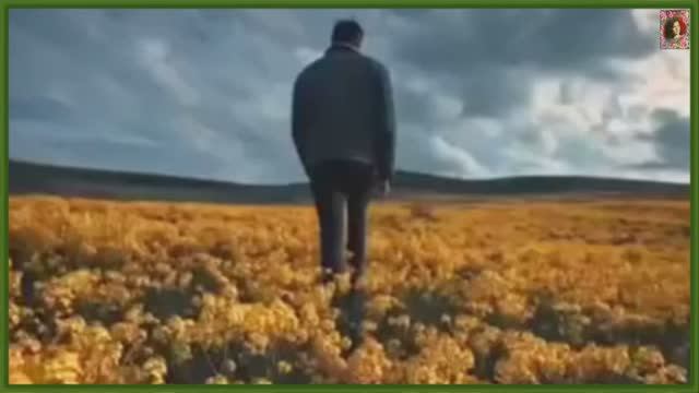 ЖИЗНЬ ПРОЖИТЬ - НЕ ПОЛЕ ПЕРЕЙТИ!!! смотреть онлайн