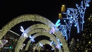 "Январь 2026". Н.Бояршинова