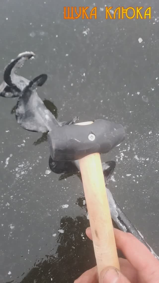 🔥 Зачем на рыбалке нужен резиновый молоток? 🔥 #рыбалка #fishing #зимняярыбалка #шортс