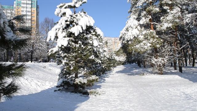 14=01=2026 КМР (1) КАРАСУН. КРАСНОДАР. смотреть онлайн