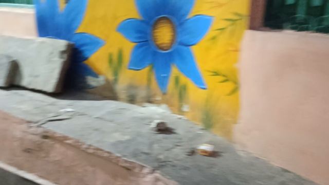 В этих лабиринтах был наш отель.И всегда спали щенки! смотреть онлайн