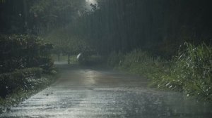 Сильный дождь ASMR для сна, снятия стресса и от шума в ушах 🌧️