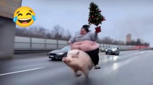 #смешныевидео -691