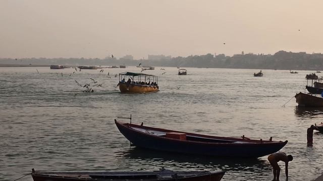 Чайки за лодками!Атмосфера на Ганге! смотреть онлайн