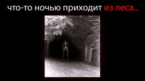 Странное Существо Приходит Ночью в Этот Город - Mulberry County