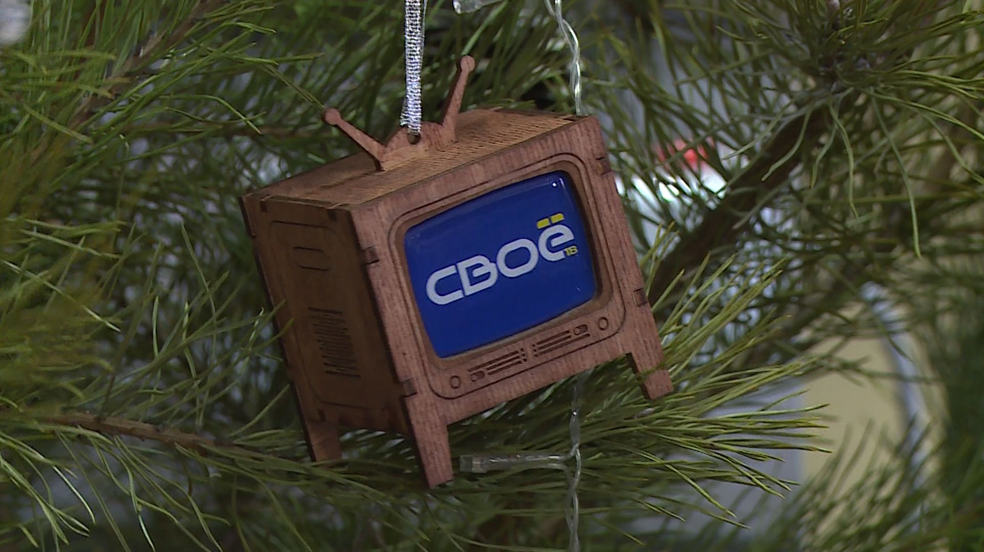 Журналисты телеканала «СвоёТВ» узнали как правильно утилизировать настоящую ёлку