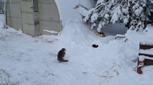 Просто поговорила с вами.