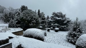 Крым в снегу - зимняя сказка в Ливадии.