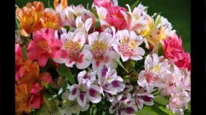 Библия и жизнь. Моя аудиокнига. Часть № 128