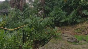 Сотрудники мэрии и спасатели побывали на оползневом участке в сочинской Кудепсте