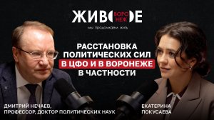 Дмитрий Нечаев: Расстановка политических сил в ЦФО и в Воронеже в частности.